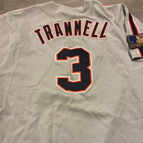 Alan Trammell Mitchell & Ness Gray Cooperstown Collection Jersey 1994 25th Ann